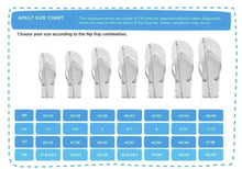 Load image into Gallery viewer, Havaianas Slim sand grey light golden