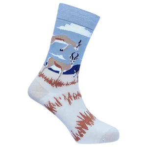 Bamboo cotton socks - Various prints