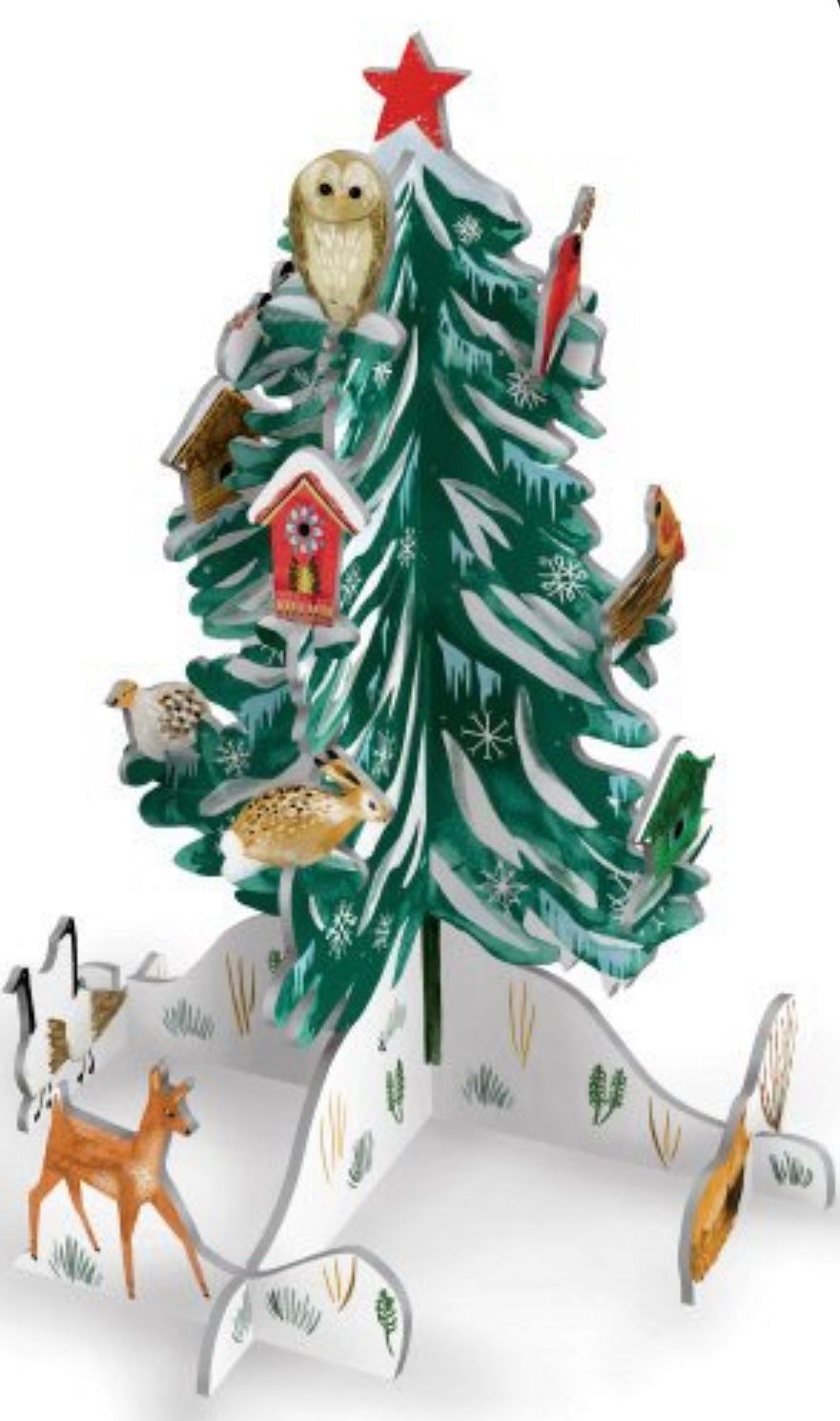 RLB pop and slot - Christmas conifer